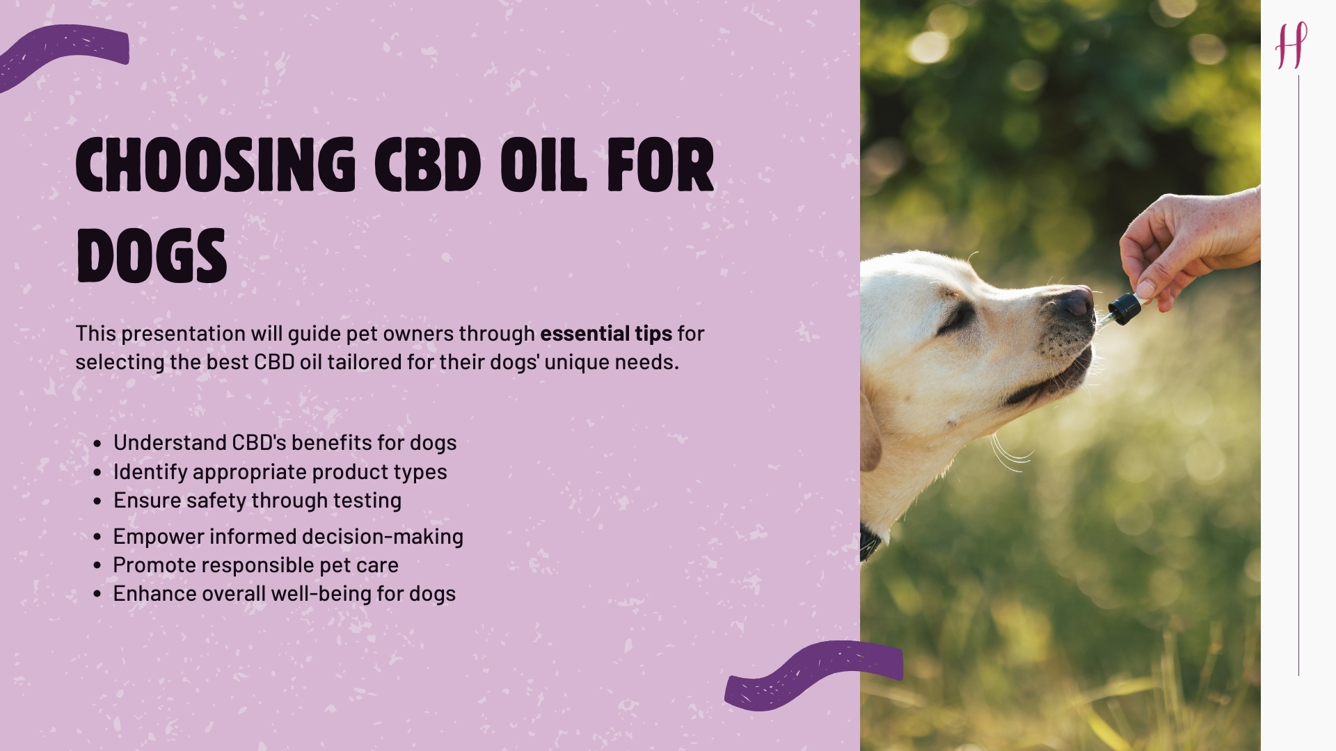 buy cbd oil for dogs